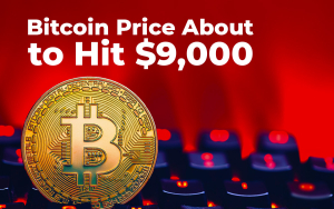 Bitcoin Price About to Hit $9,000, BTC Rises 135% Year-to-Date Bitcoin Price About to Hit $9,000, BTC Rises 135% Year-to-Date