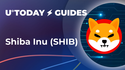 What is Shiba Inu (SHIB) and Why Is It So Popular: Guide
