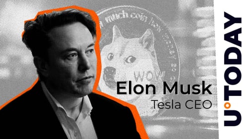 Elon Musk Stuns Dogecoin Community With Epic DOGE Post