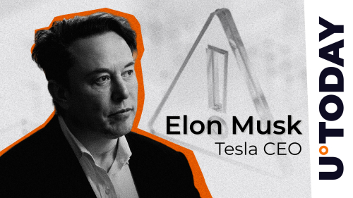 Elon Musk Stuns Community With Big Crypto Scam Warning: ‘Block Him’