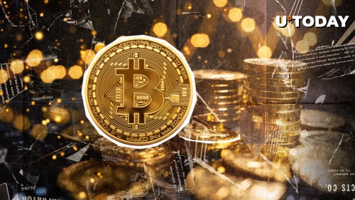 Bitcoin to Dominate Market 90%+ in Next 15 Years: Willy Woo