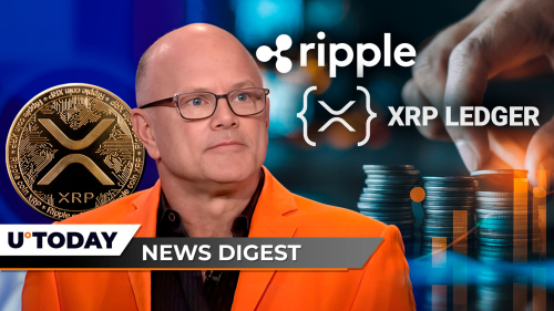 '나는 XRP가 마지막으로 될 것이라고 생각하지 않았다': Novogratz, 전 리플 Exec는 XRPL에서 CBDC 실험에서 침묵을 깨뜨린다.