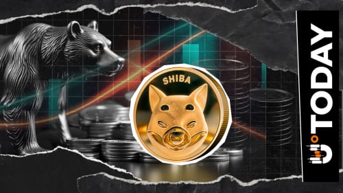 Top SHIB Exec Believes Bear Market Is Here, But There's a Catch