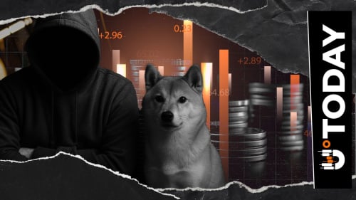 'Crypto Is Like Casino': Shiba Inu's Shytoshi Kusama Reacts to Market Meltdown