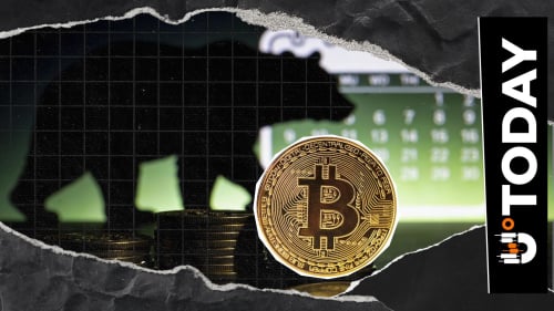 Bitcoin's Worst-Case Bearish Scenario by Willy Woo: BTC Could Fall to $16,000