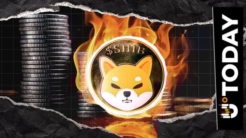SHIB Burn Volume Falls to Zero After High-Activity Weekend
