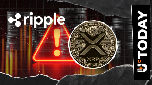 'It's a Scam!': Ripple's David Schwartz Shatters New Clone Site Targeting XRP Holders