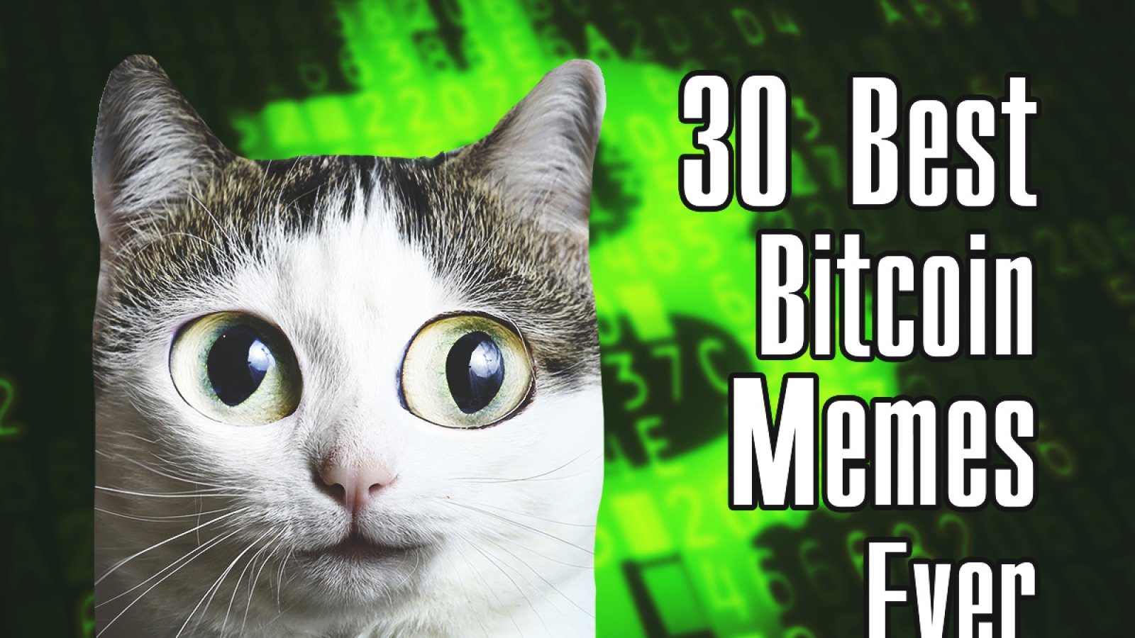 30 Best Bitcoin Memes Ever  