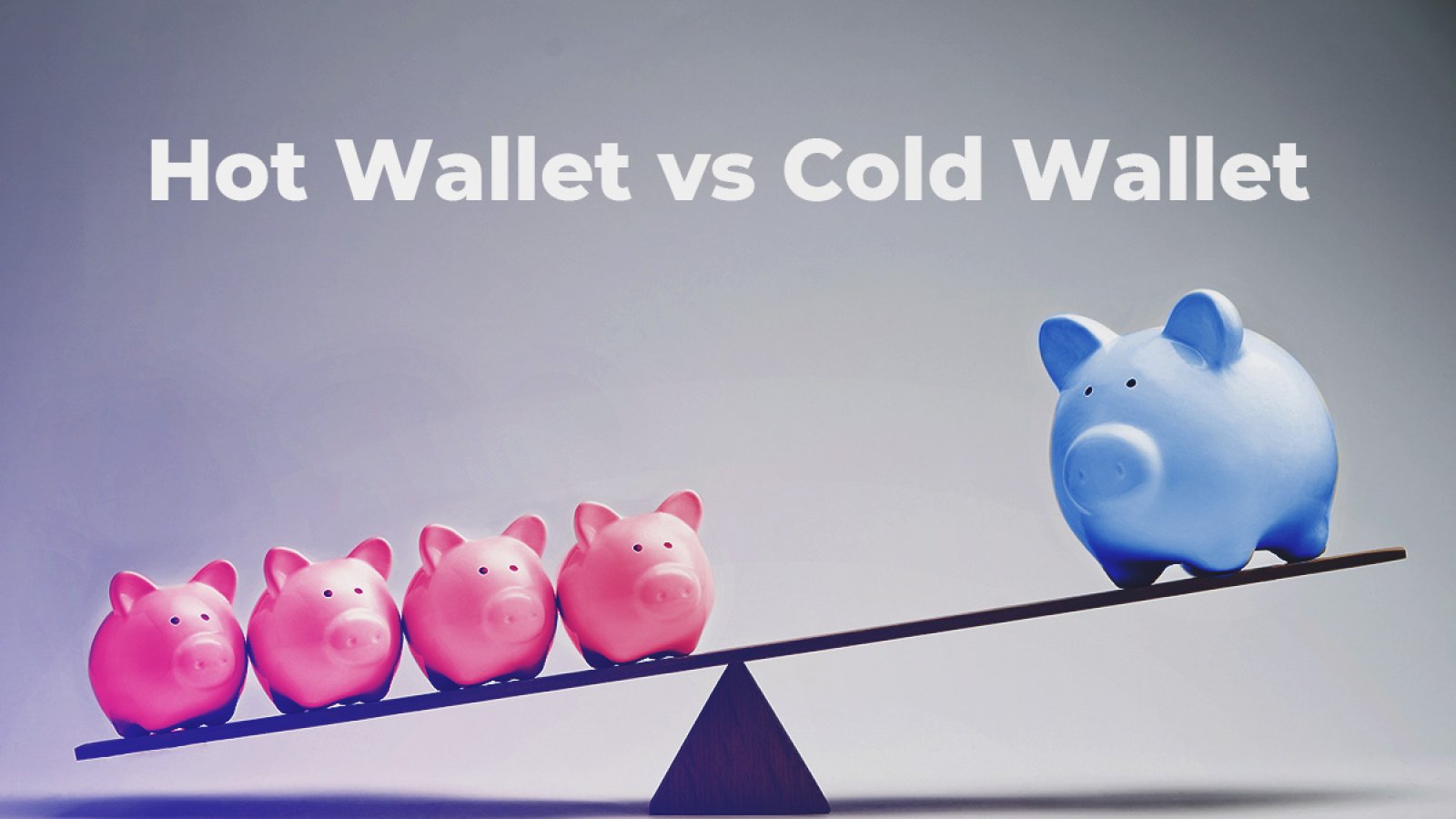 Hot Wallet vs. Cold Wallet: What the Different Storage Methods Do
