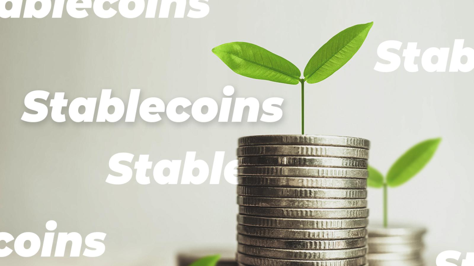 What are Stablecoins and What do They Mean for the Crypto Market?