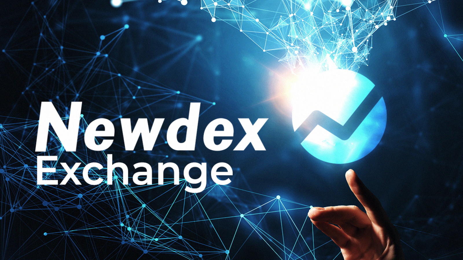 Newdex's Year In Review