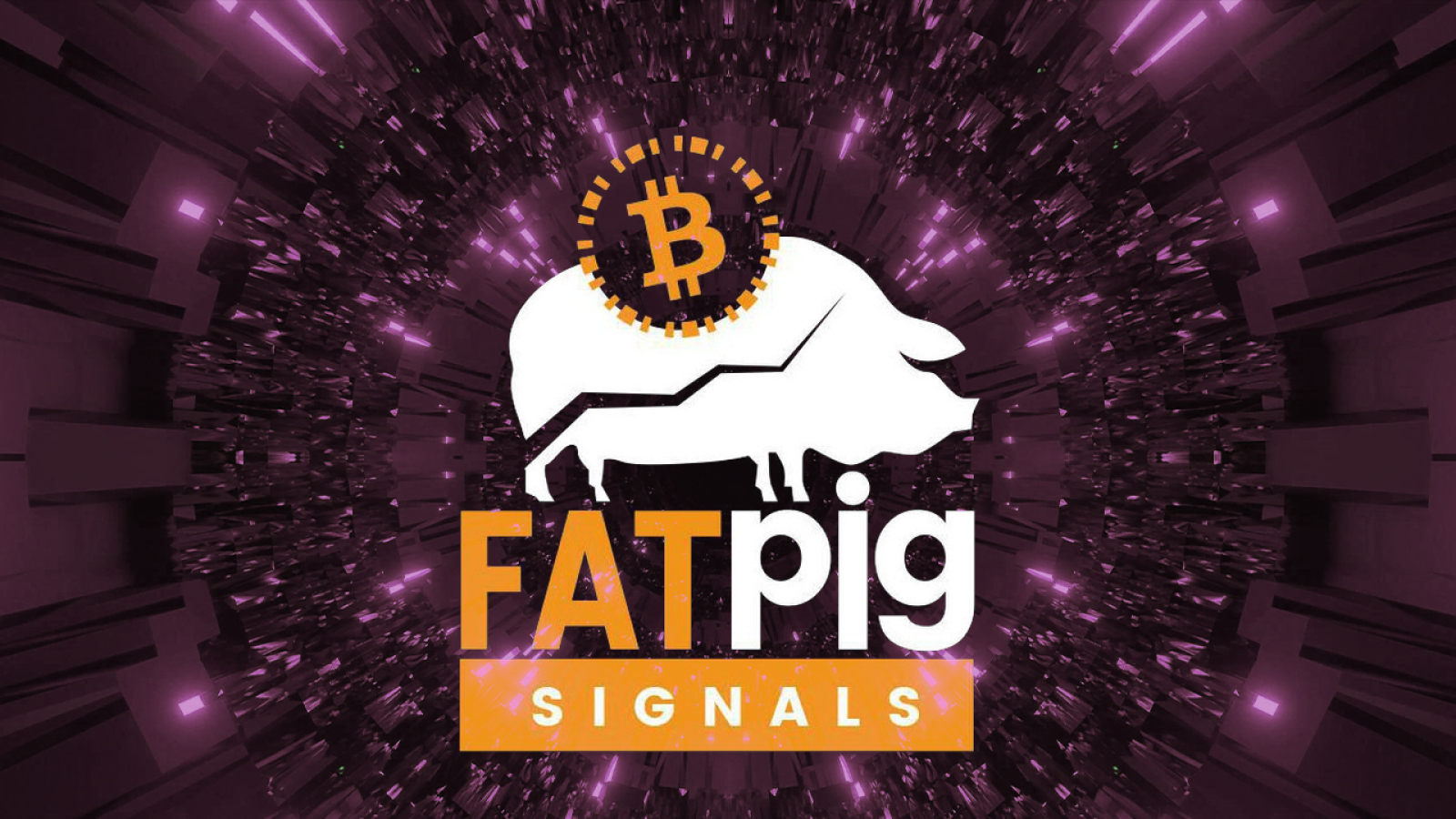 Fat Pig Signals Informs Its Members About Latest Changes on Crypto Market