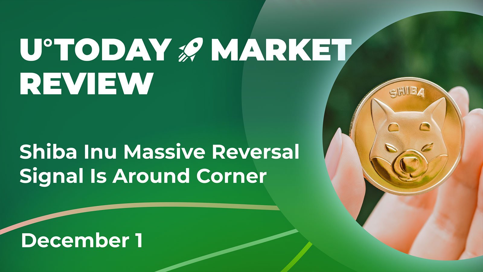 Shiba Inu Massive Reversal Signal Around Corner: Crypto Market Review, Dec. 1