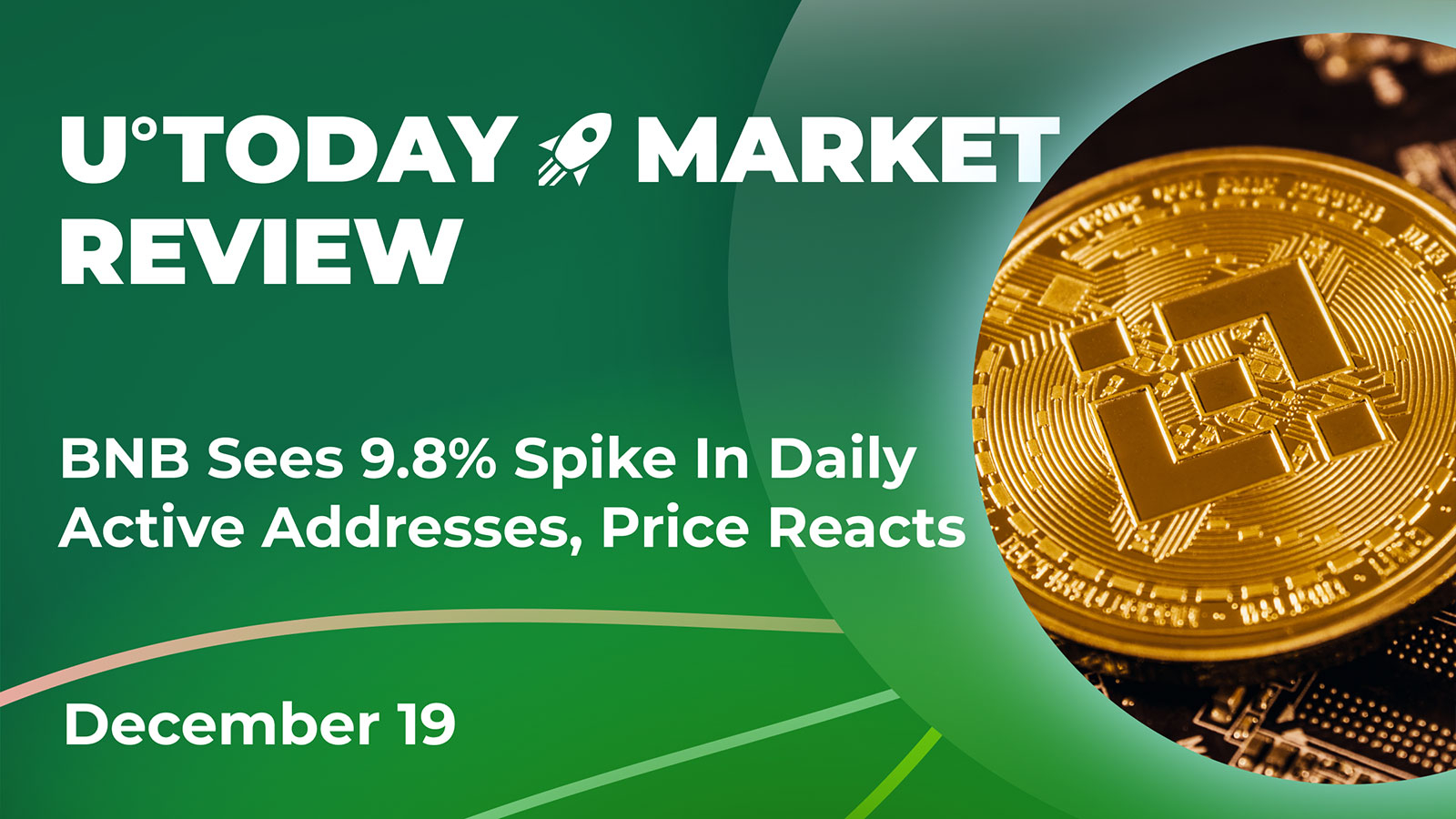 BNB Sees 9.8% Spike in Daily Active Addresses, Price Reacts: Crypto Market Review, Dec. 19