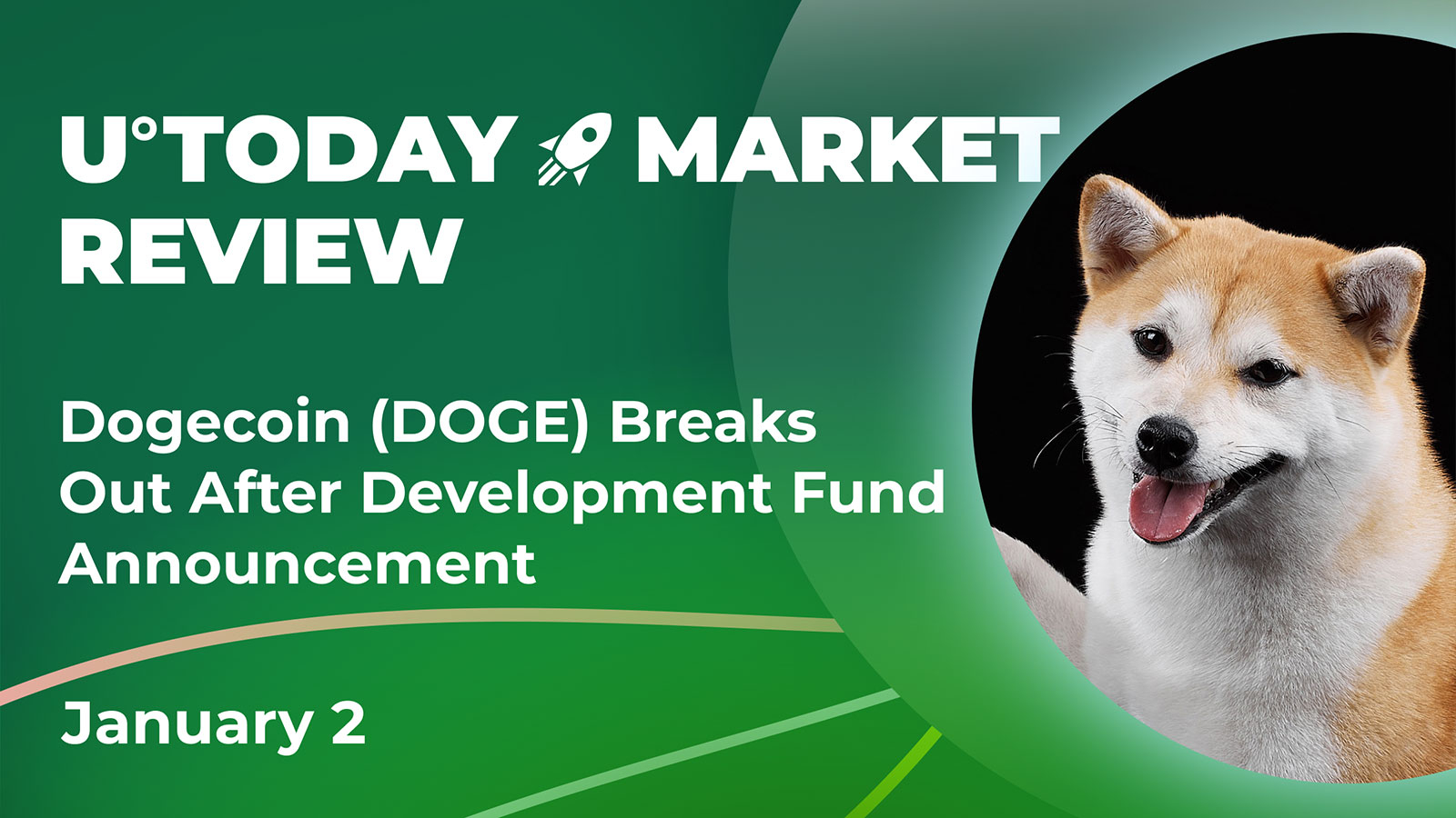 Dogecoin (DOGE) Breaks Out After Development Fund Announcement: Crypto Market Review, Jan. 2
