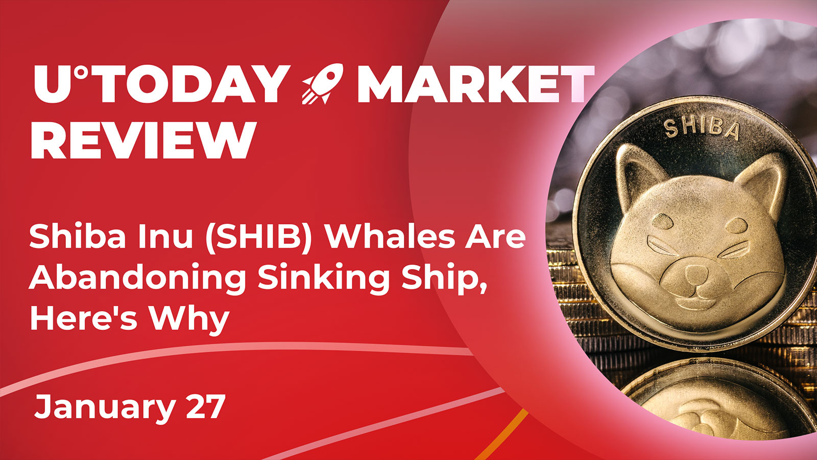 Shiba Inu (SHIB) Whales Are Abandoning Sinking Ship, Here's Why