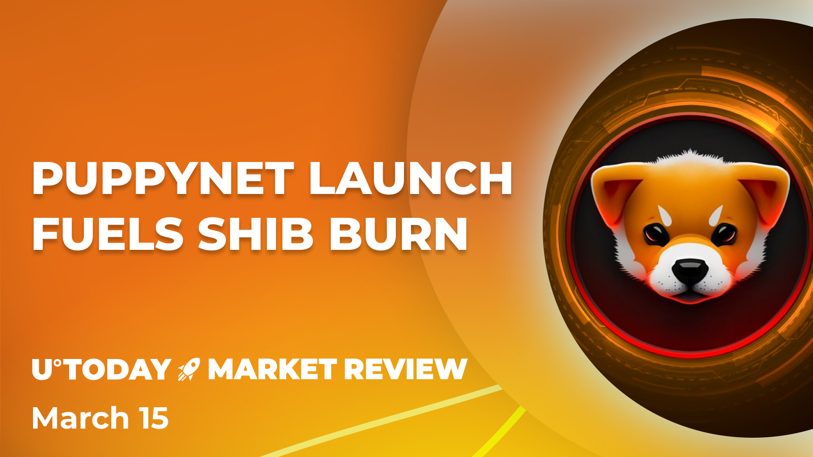 Shiba Inu (SHIB) 16% Rebound Extending as Burn Rate Spikes 1,318%