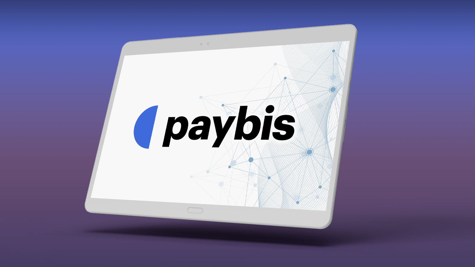 Crypto Investments Made Easy: How Paybis Democratizes Digital Asset Ownership