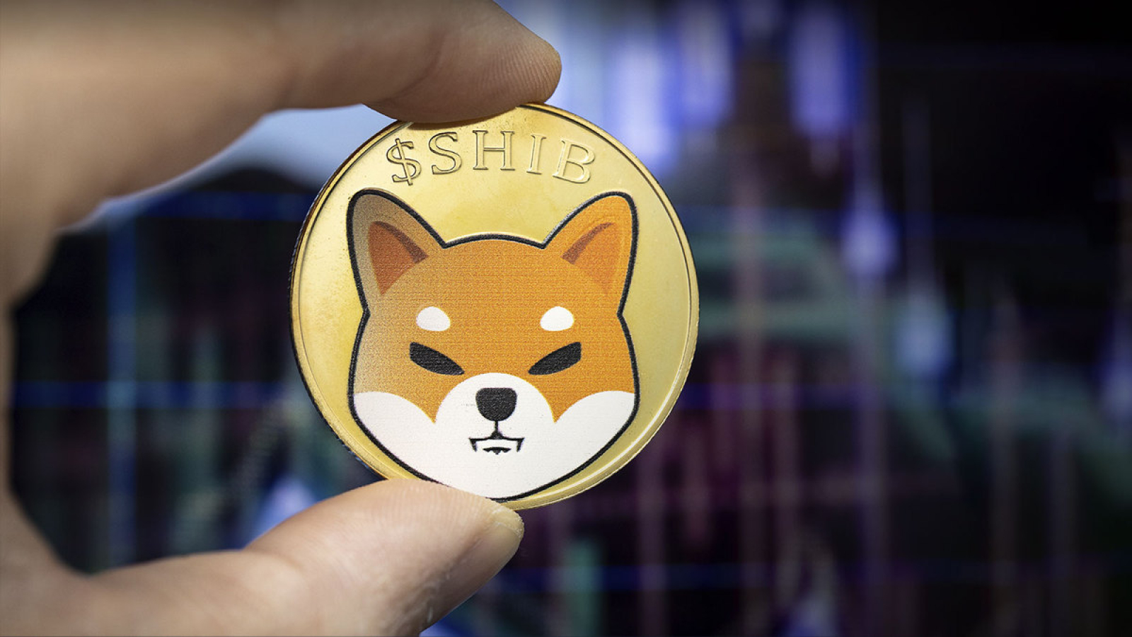 This Trader Is Bullish on Shiba Inu (SHIB)