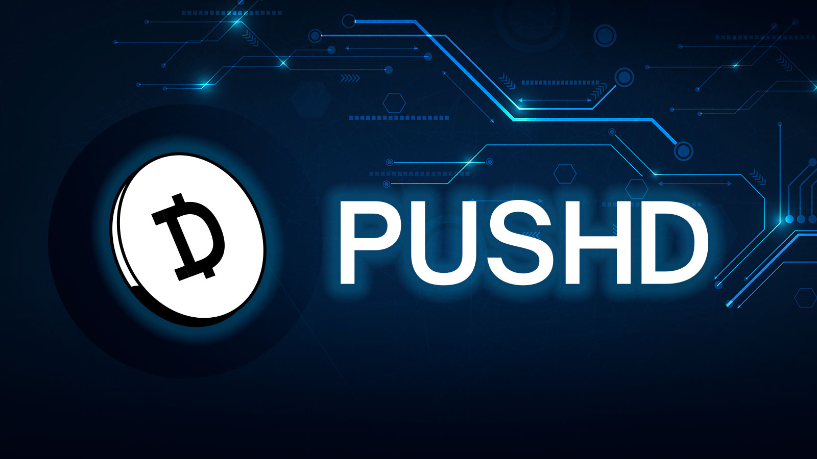 Pushd (PUSHD) Pre-Sale Opens New Opportunities while XAI (XAI) and Bitcoin Cash (BCH) Top Altcoins Remain In Spotlight