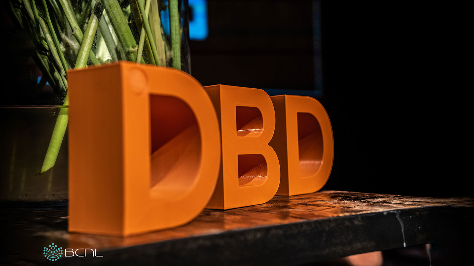 Dutch Blockchain Days 2024: The Leading Dutch Conference for Blockchain, Crypto, and Web3 in Amsterdam is back at the 19th of June