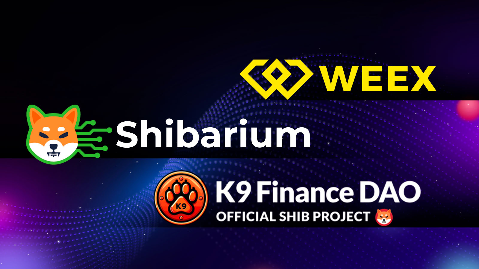 WEEX and SHIB Forge Strategic Partnership: Welcoming a Major New Partner to the WXT Ecosystem