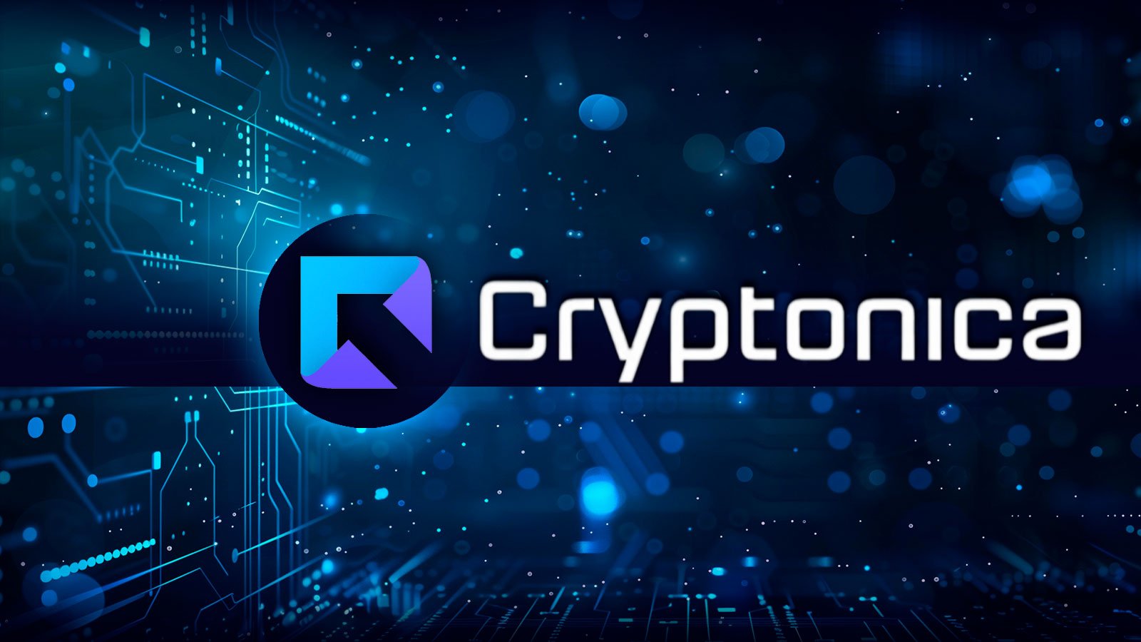 Cryptonica Reveals Secrets: How to Earn up to 2.5% Daily With a Unique Liquidity Pool