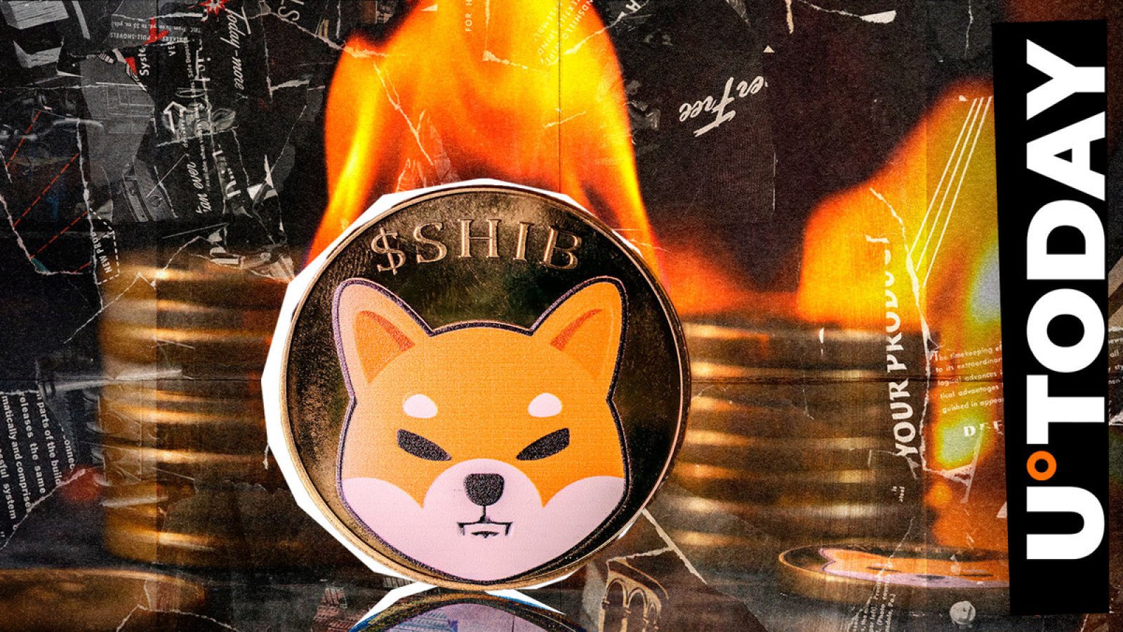 SHIB Burns Skyrocket 340%, Price Reacts Unexpectedly