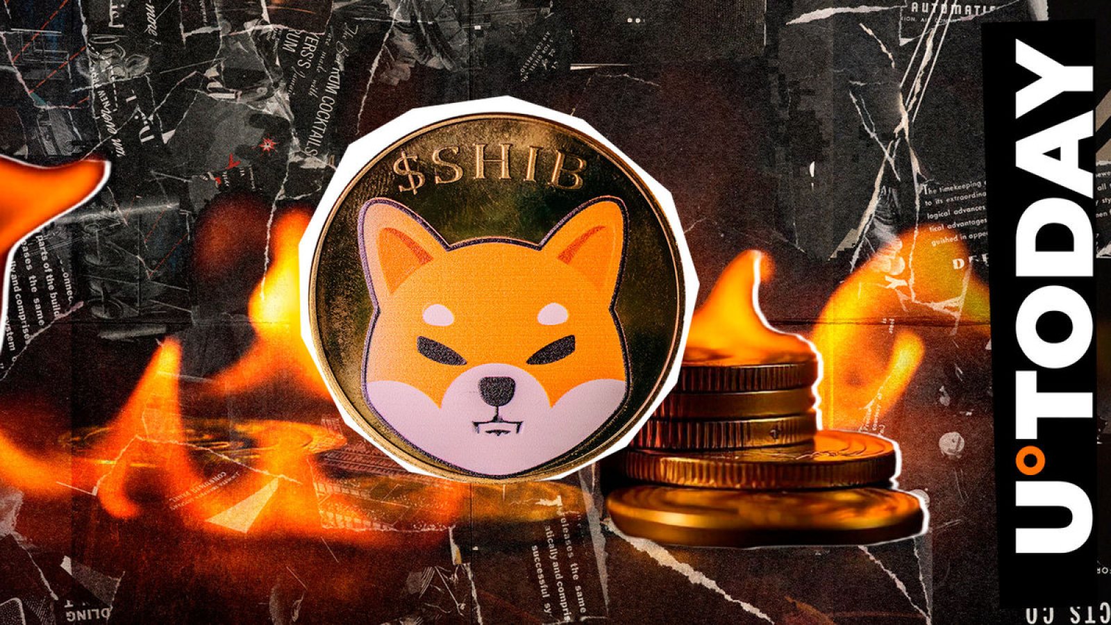 SHIB Burn Rate Surges 1,009% Amid Shiba Inu Price Jump: Details