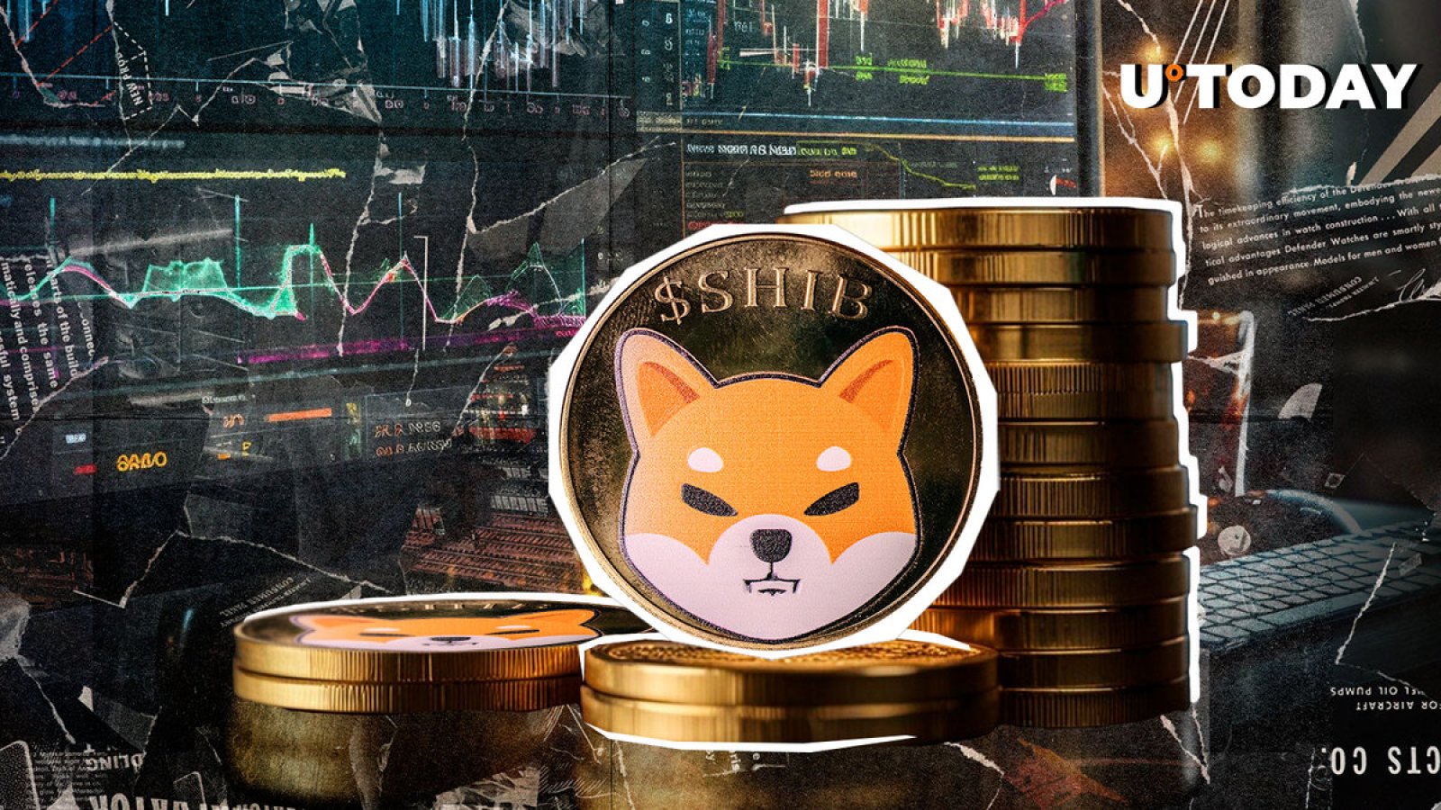 19 Trillion Shiba Inu (SHIB) Cluster: Here's What It Implies 