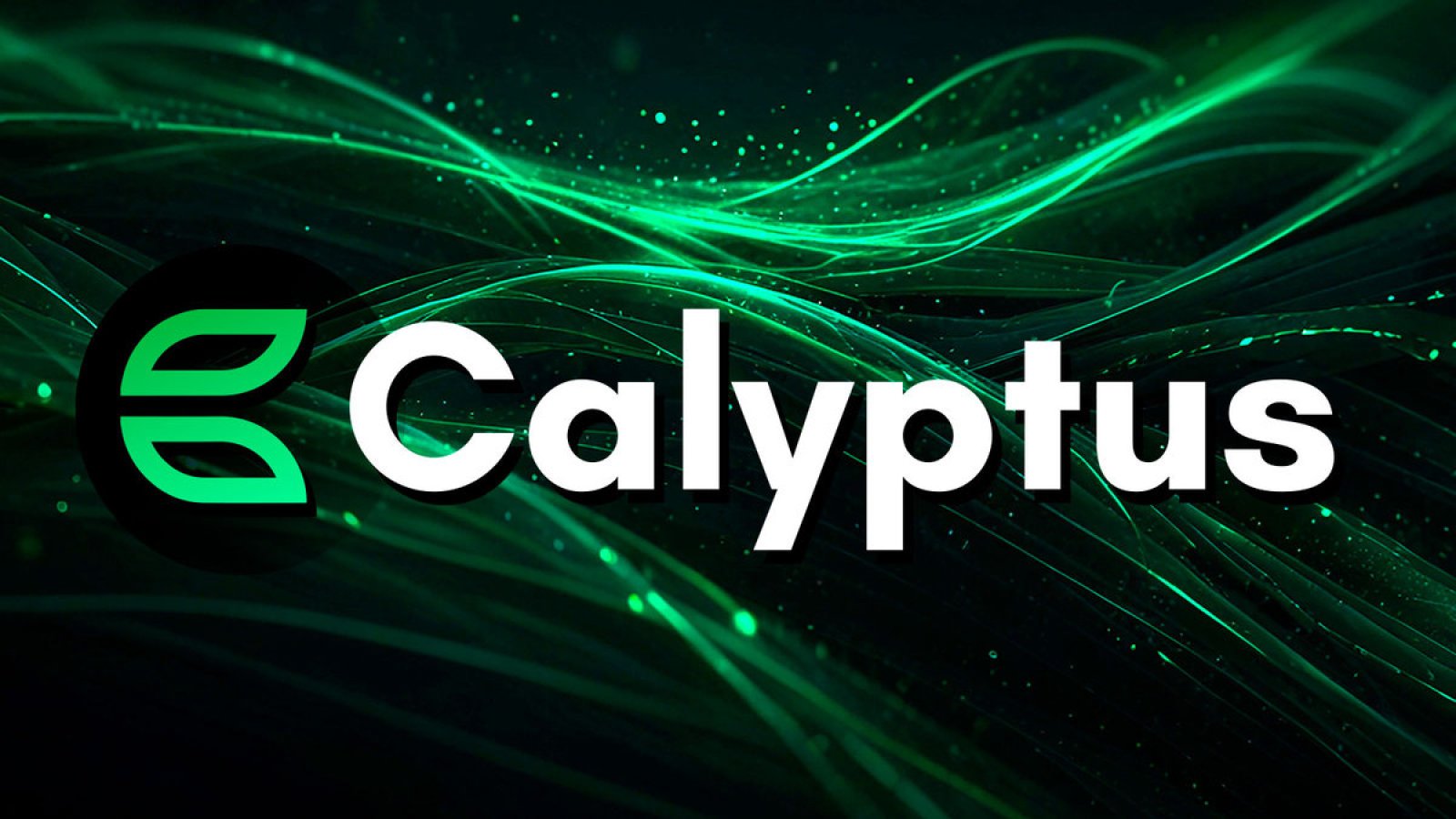 Calyptus Recruitment Platform for Web3 Launches New Incentives