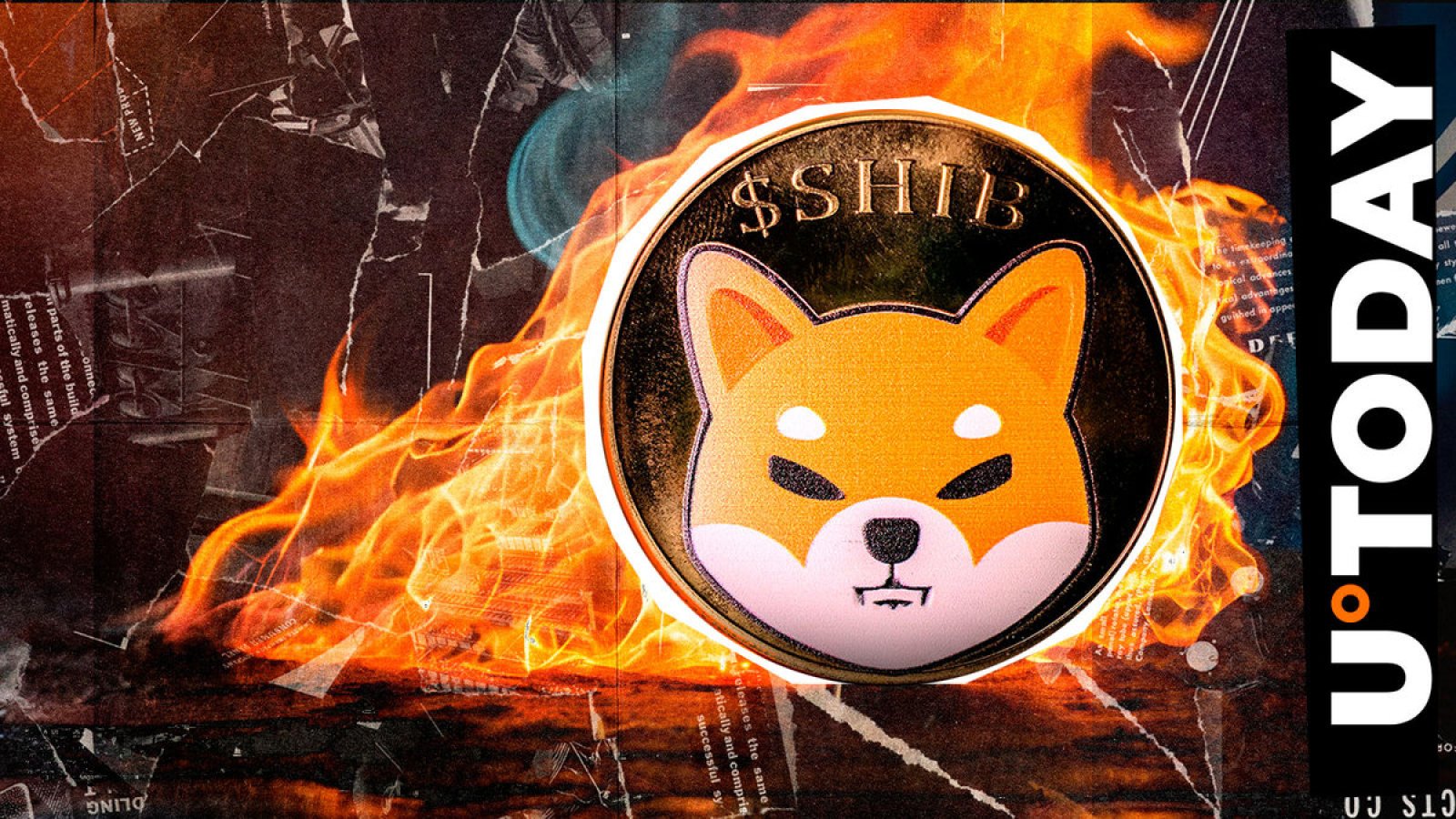 Shiba Inu to Burn Big? Plan to Slash SHIB Supply Teased by Shiba Inu Executive