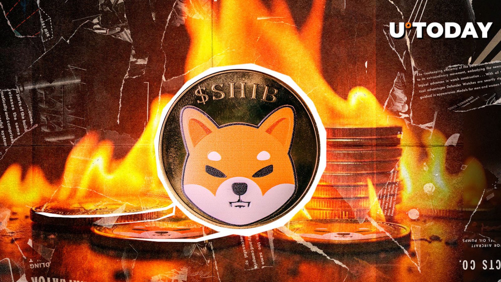 SHIB Burns Collapse, While Shiba Inu Plunges 4.6%