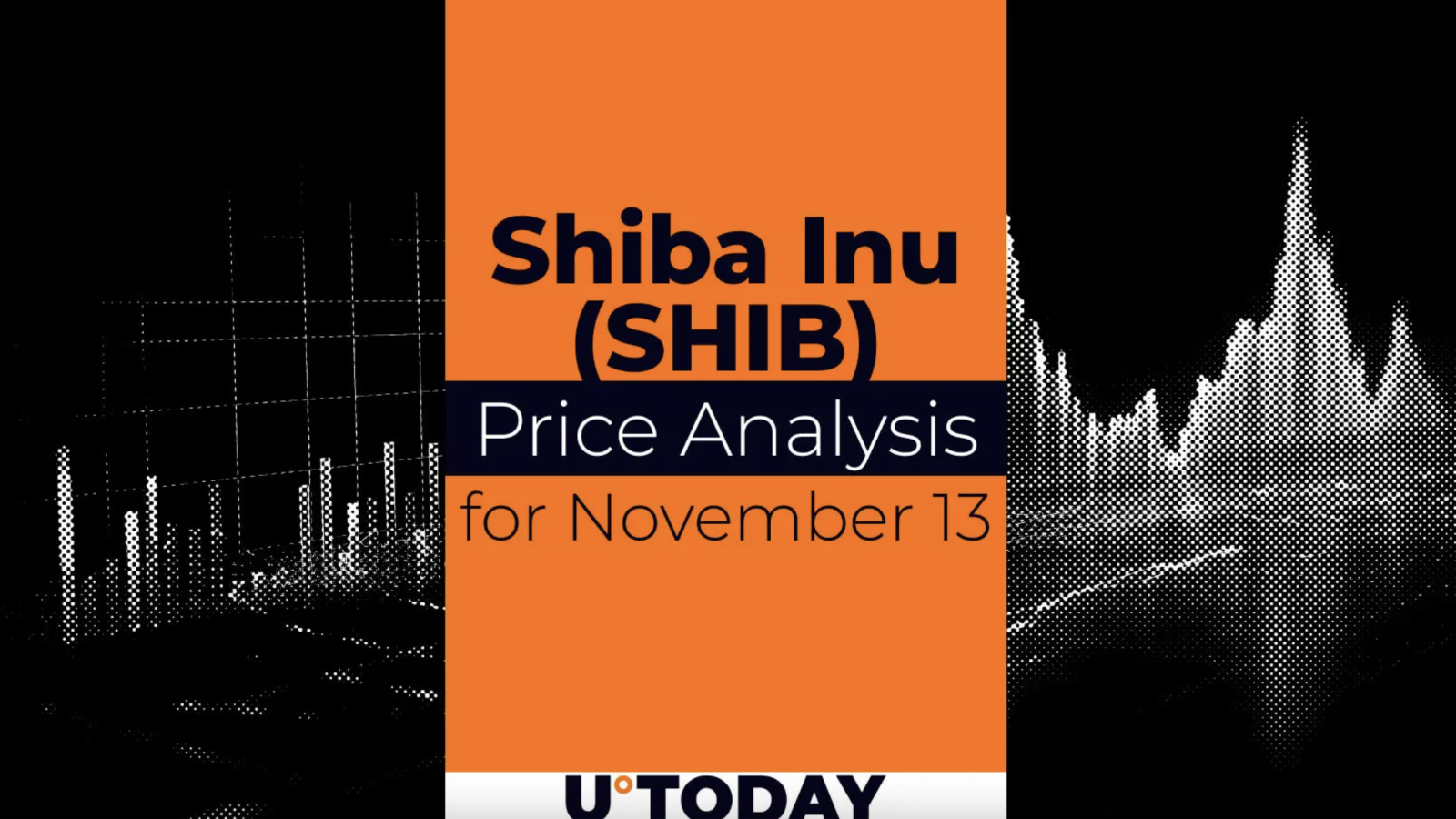 SHIB Price Prediction for November 13