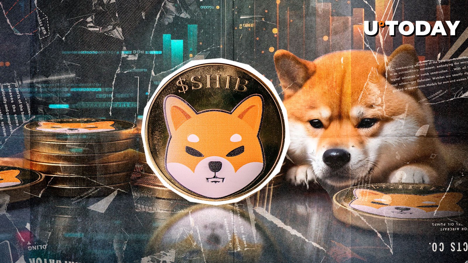 Historical Shiba Inu Post Issued by Team Revealing First SHIB Logo Dog