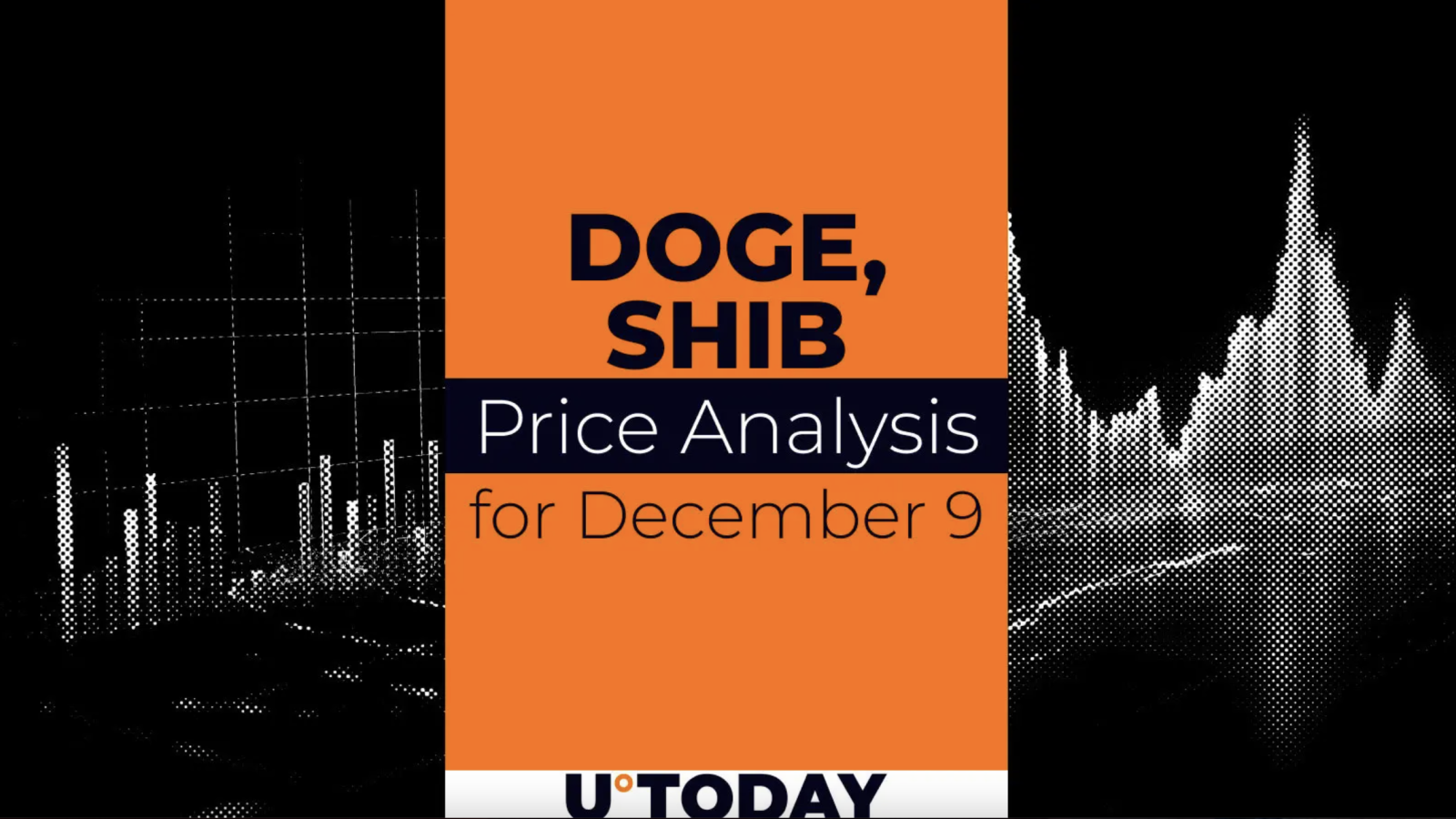 DOGE and SHIB Price Prediction for December 9