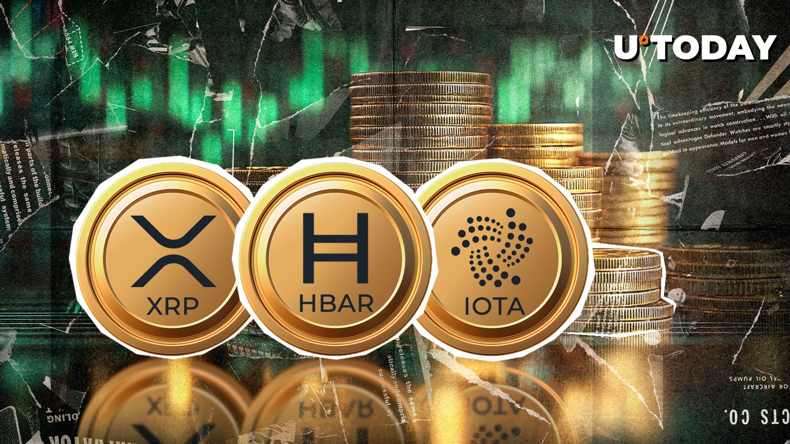 $500 Million Liquidation Chaos Crowns XRP, HBAR and IOTA as Top Winners