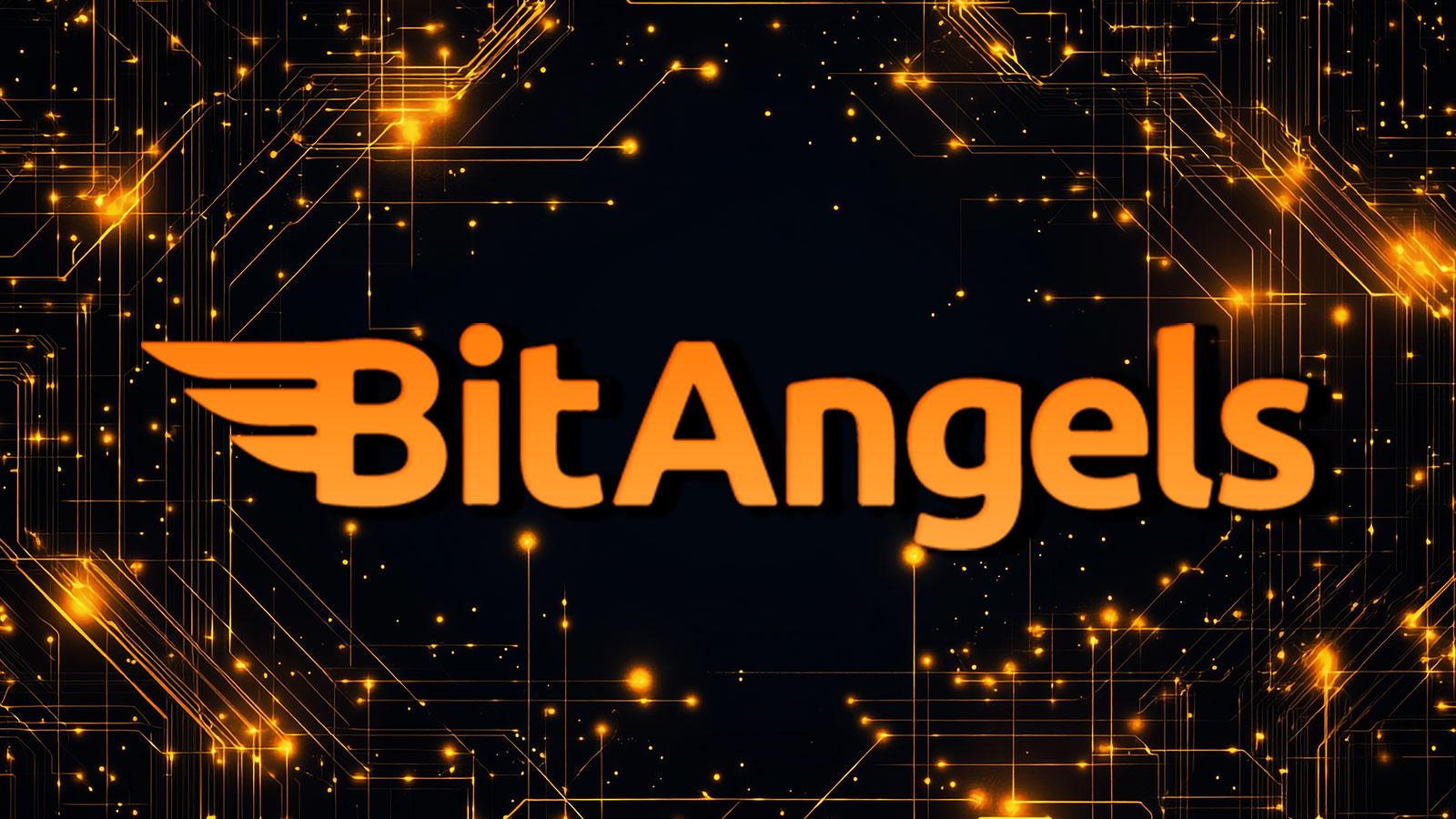 BitAngels Fuels Web3 Fundraising With Live Networking