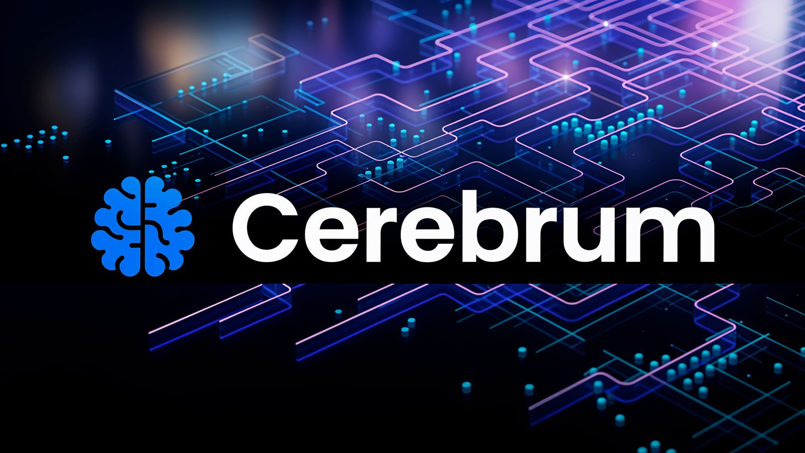 Cerebrum IQ Review and the Year for Crypto in 2025