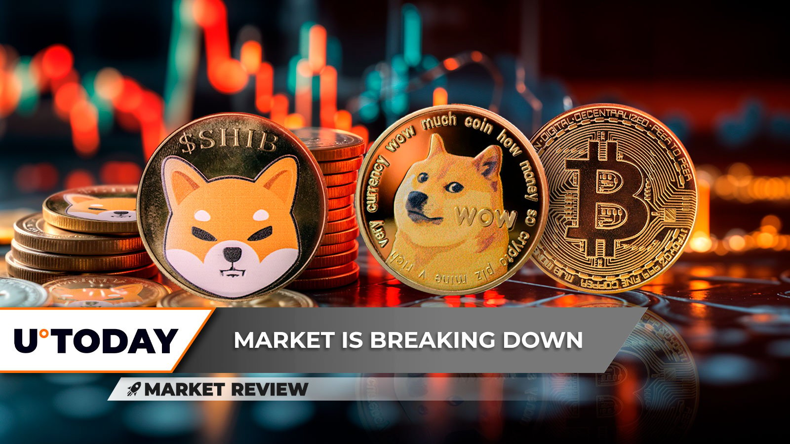 Crucial Shiba Inu (SHIB) Breakdown Raises Questions, Dogecoin (DOGE) on Basic Assist, Bitcoin (BTC) Restoration Isn't So Unrealistic