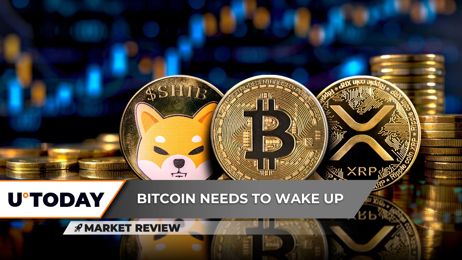 Enormous XRP Breakout to Launch Skyrocketing Rally, Shiba Inu (SHIB): Pattern You Don't Avoid, Bitcoin (BTC) Still Sleeping