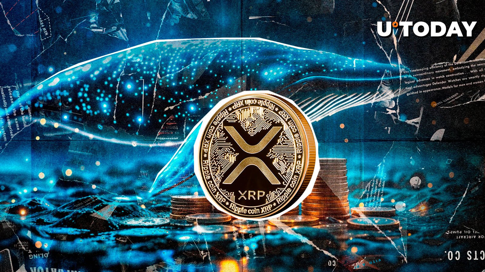 XRP Whales Go on 150 Million Accumulation Spree in 24 Hours, What's Next?