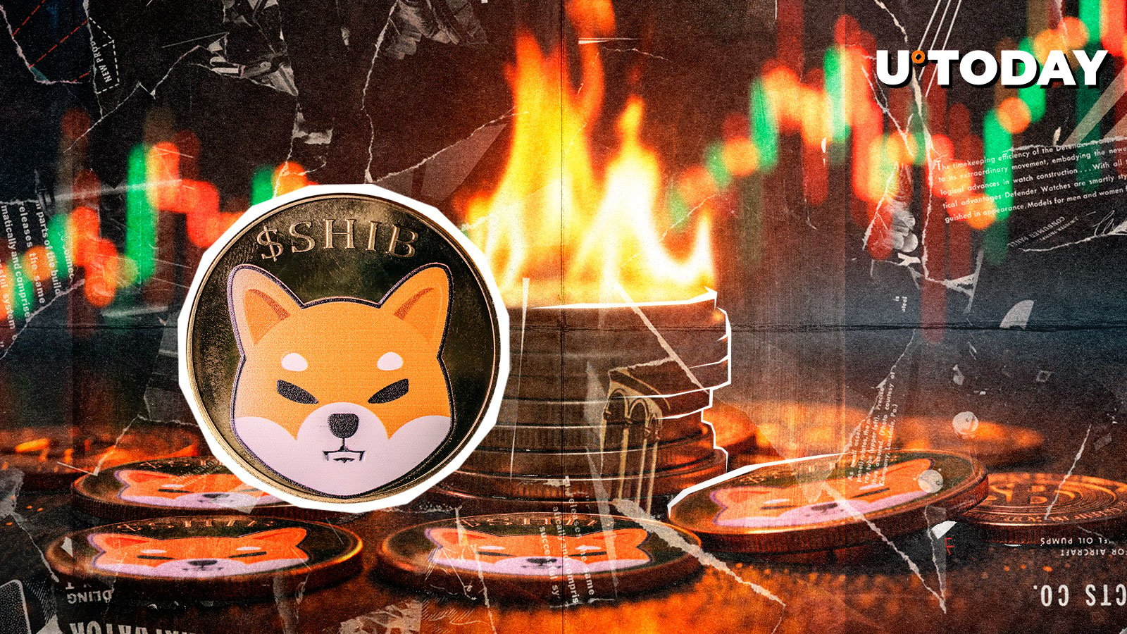 SHIB Burns Skyrocket 531% Despite Market Bleeding