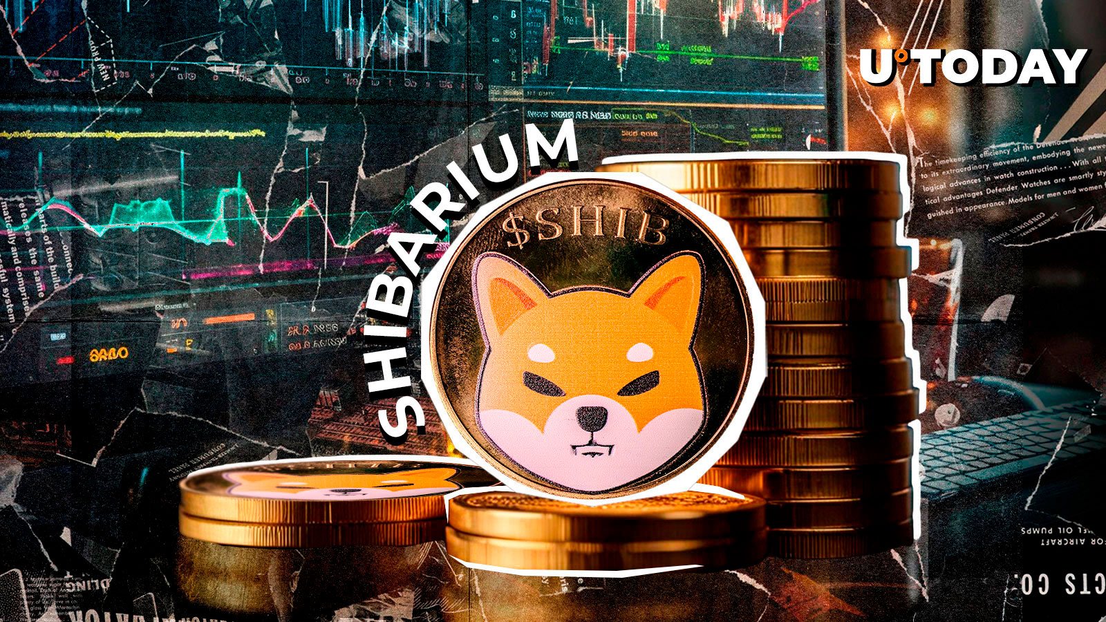 Shibarium Stages 115% Comeback in Daily Transactions as Adoption Soars