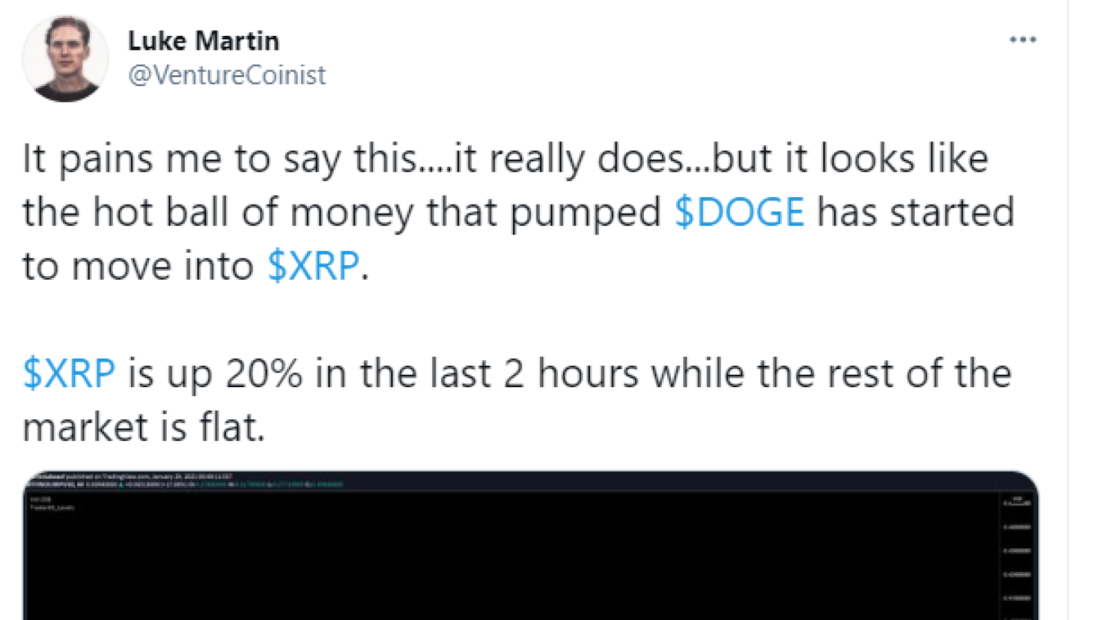 XRP pump may be inspired by DOGE money: Luke Martin