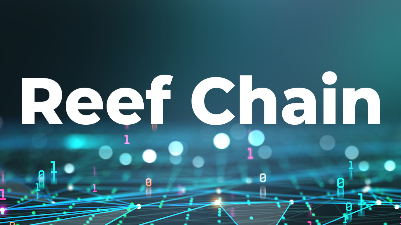 Reef Chain launches in May