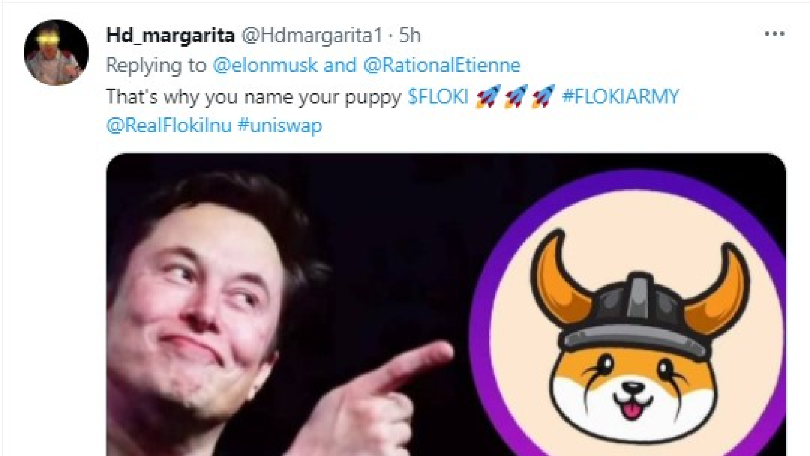 Elon Musk S Tweet About Marvel S Loki Turned Into Floki Inu Pump By Meme Coin S Fans