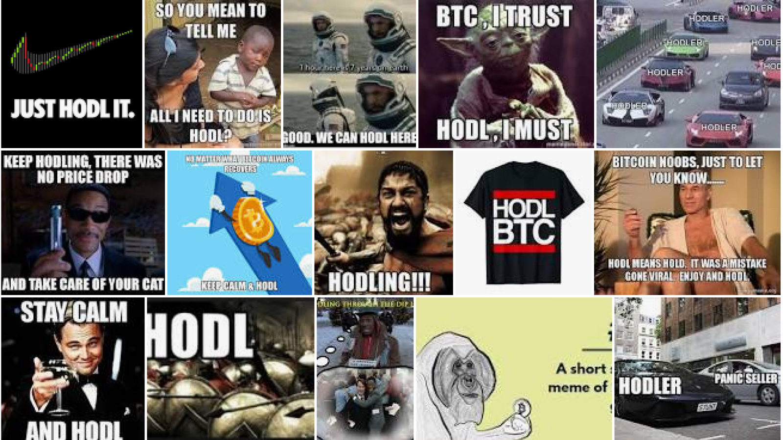 HODL