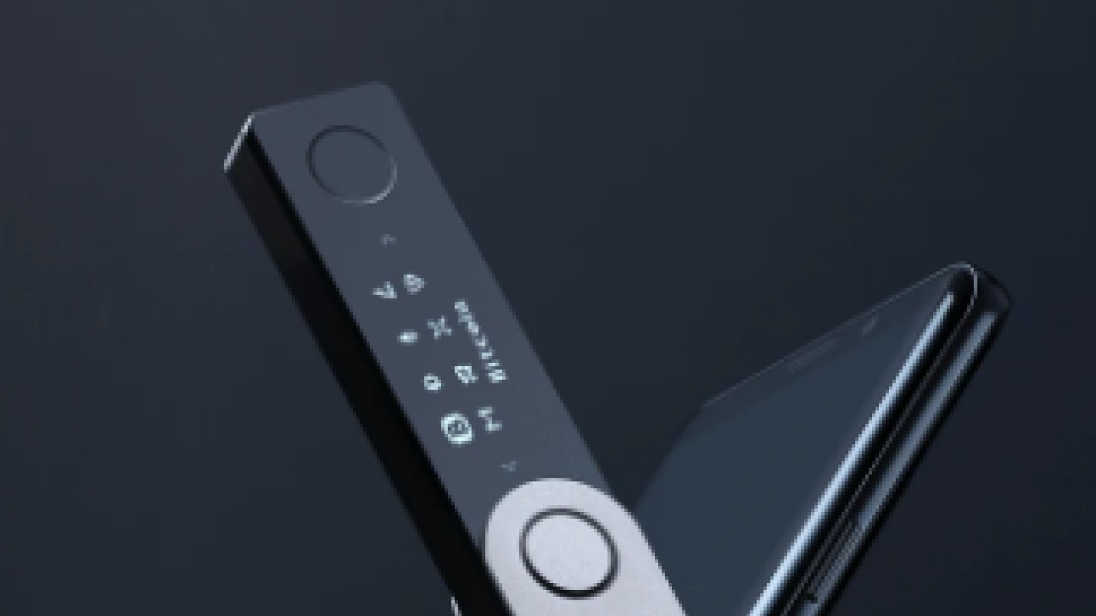 Ledger Nano X