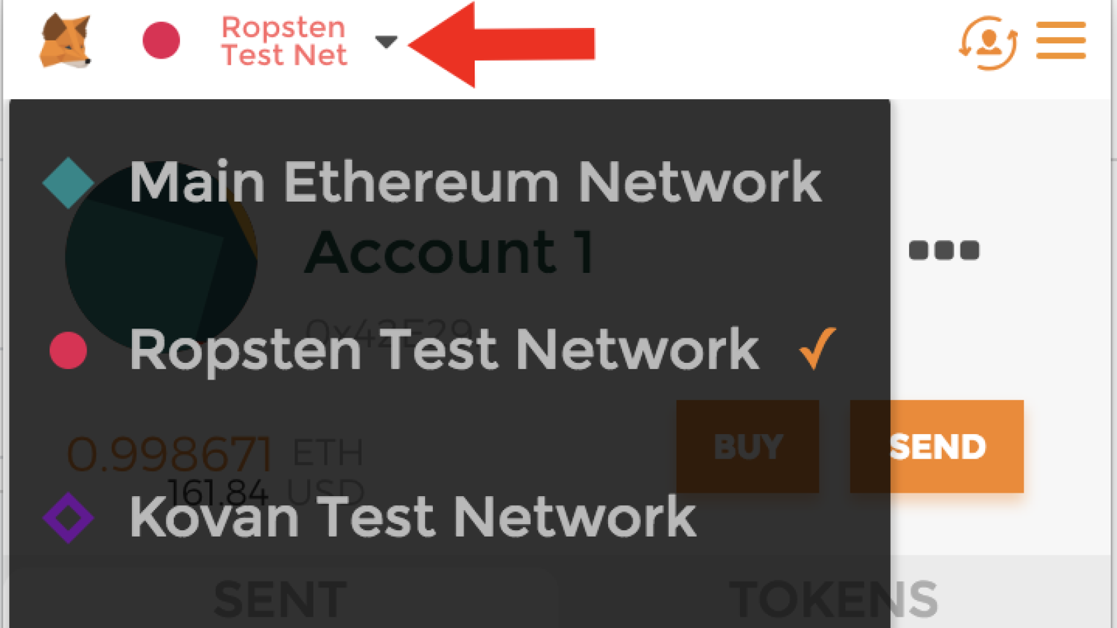 Changing Metamask to Ropsten